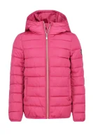 Kabát | Regular Fit EA7 	rózsaszín	