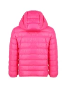 Steppelt kabát | Regular Fit EA7 	rózsaszín	
