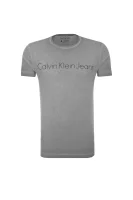 Raven T-shirt CALVIN KLEIN JEANS 	szürke	