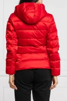 Kabát | Regular Fit EA7 	piros	