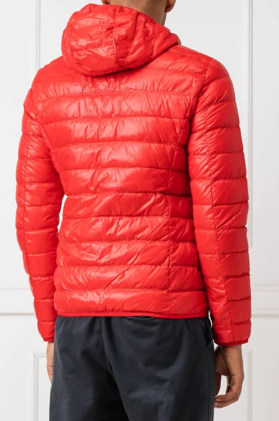 Steppelt kabát | Regular Fit EA7 	piros	