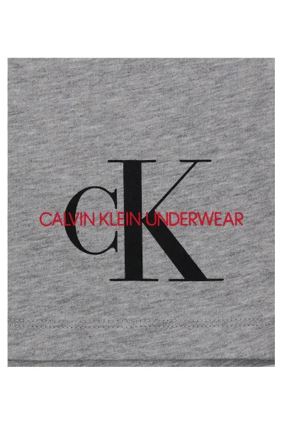Longsleeve | Regular Fit Calvin Klein Underwear 	szürke	